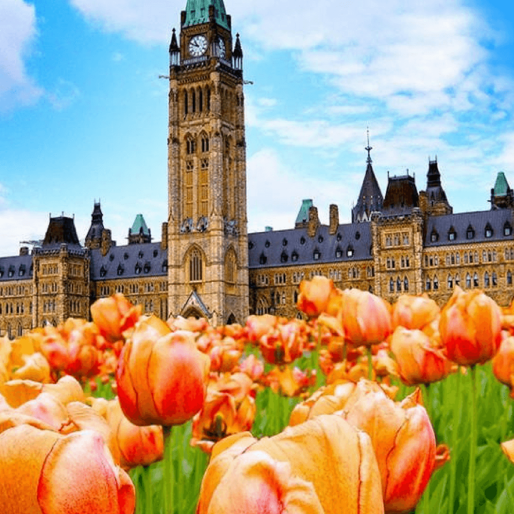 Celebrating HollandCanada Ties