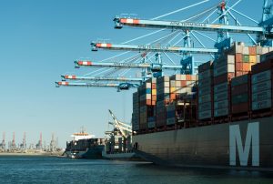 New APM terminal on the Second Maasvlakte