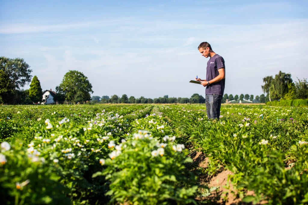 Agriculture in Europe