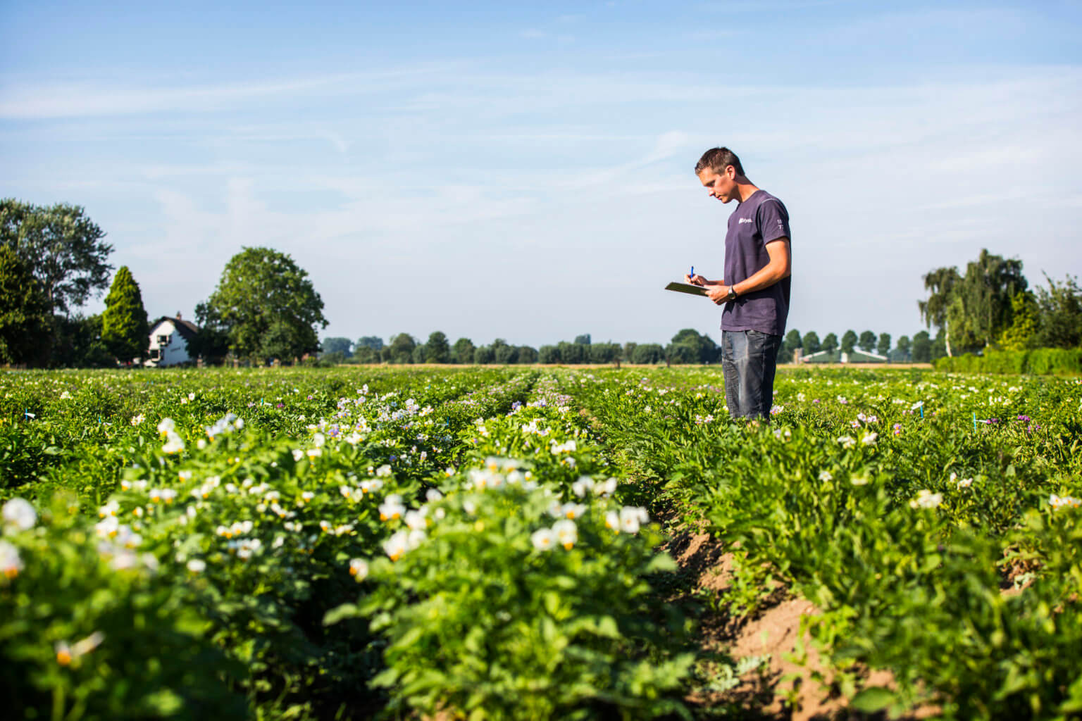 Why the World Should Admire the Netherlands' Approach to Agriculture