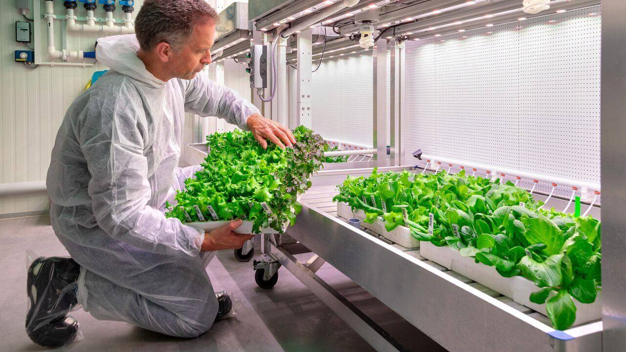 BASF vegetable seed business and Maastricht University collaborate in Brightlands Future Farming Institute