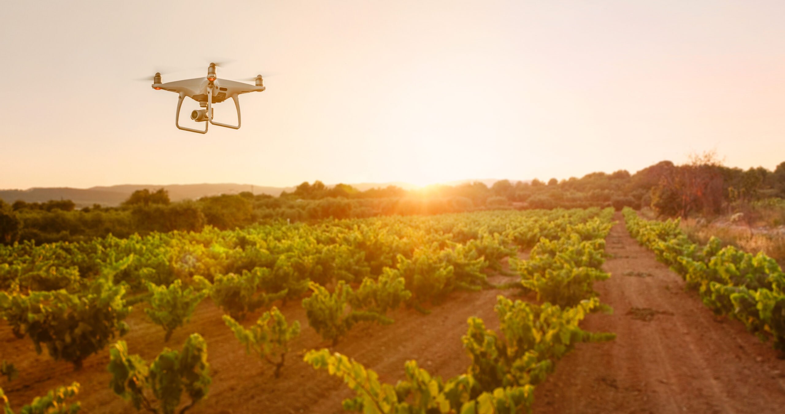 Agtech drone in the open field