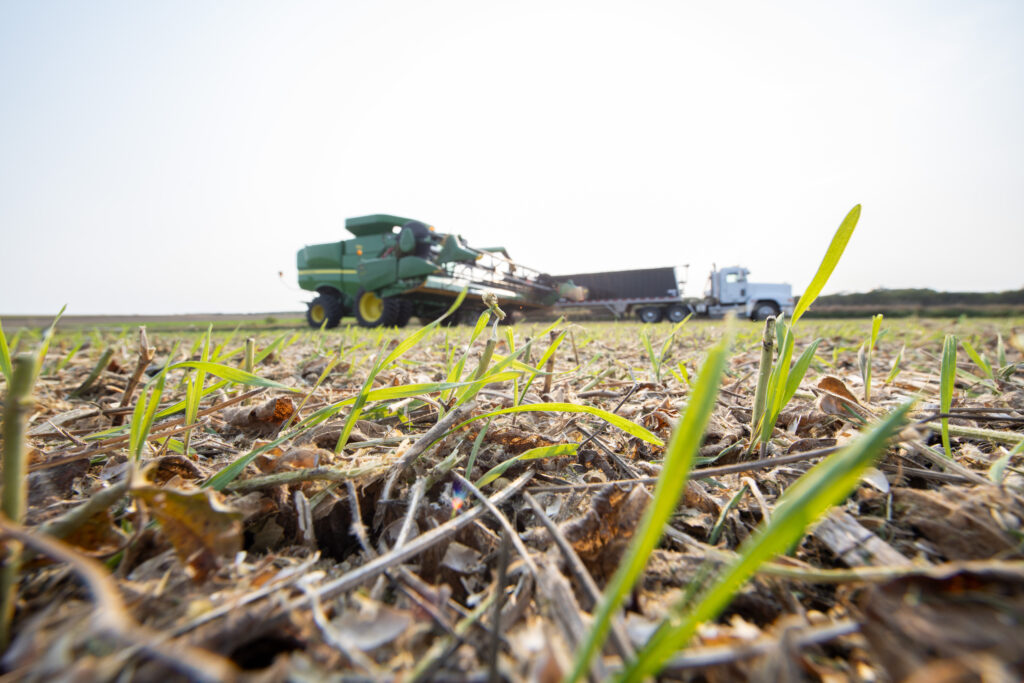 A green tractor in the distance tending to a field. Close up of grass blades and soil.