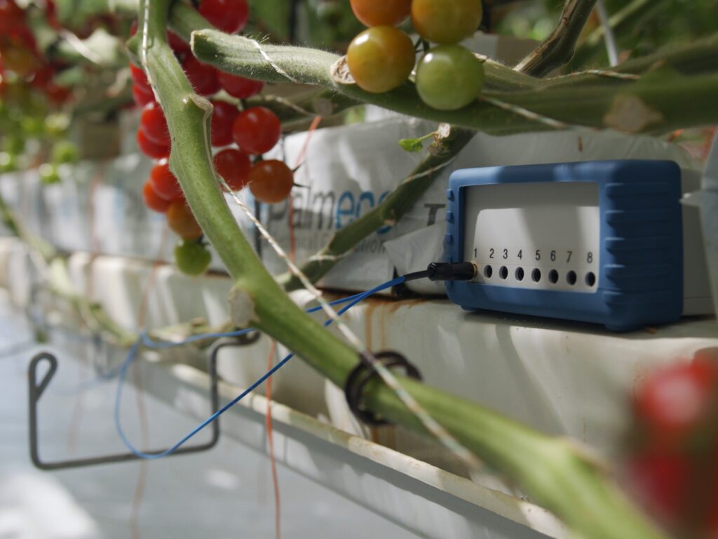 Swiss Agtech Company Vivent lands in the Netherlands to Advance Crop Health Monitoring