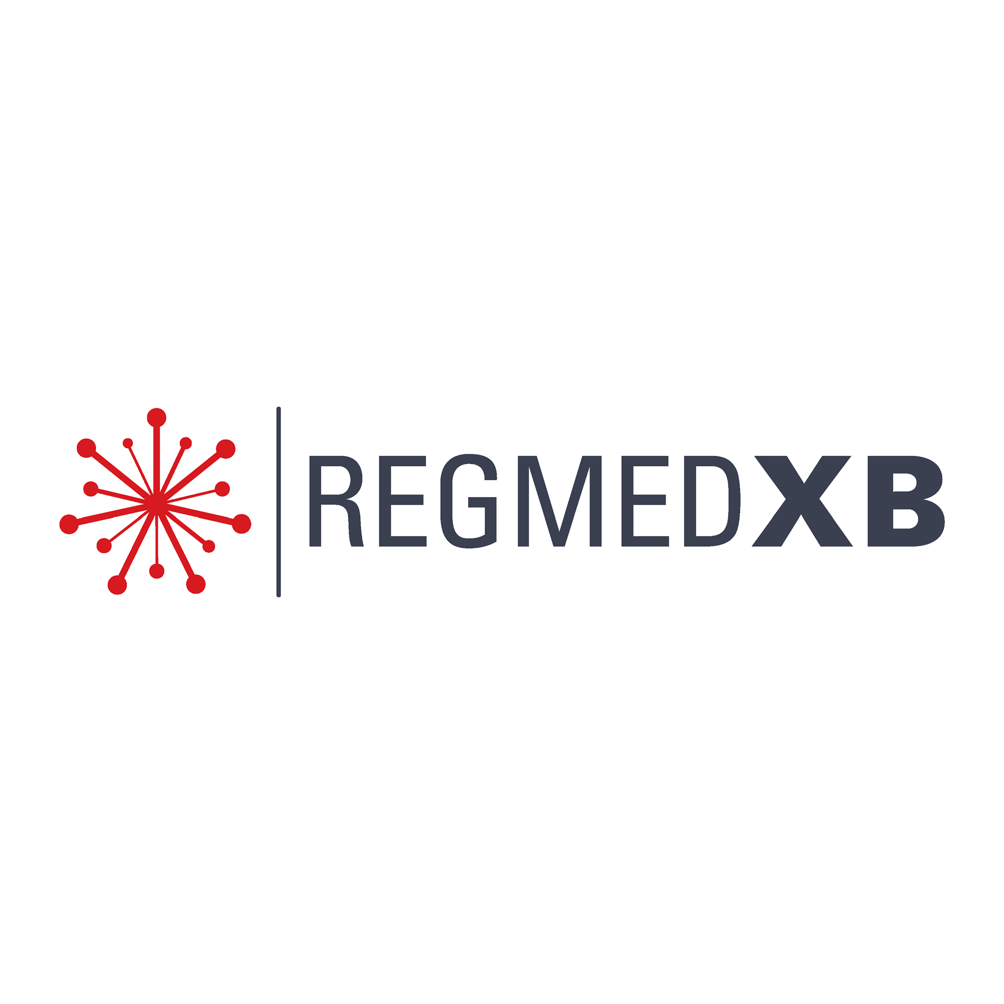 RegMed XB