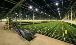 Agtech Netherlands 