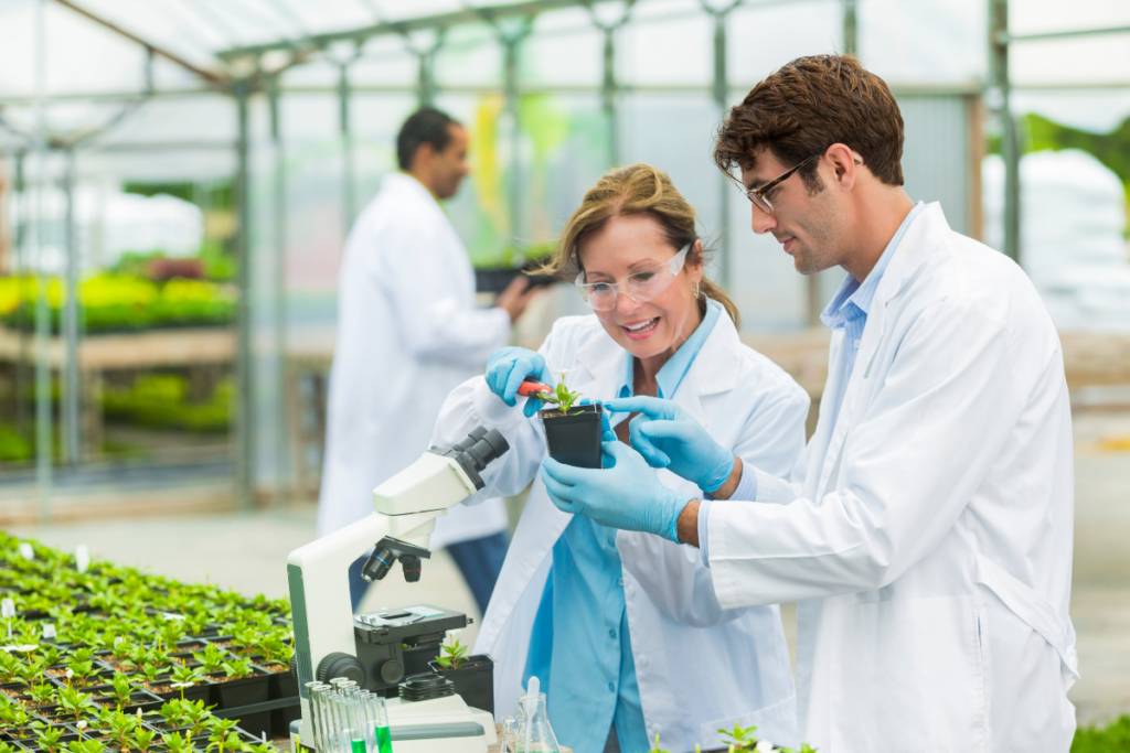 Researchers working together in a greenhouse. Invest in Holland.