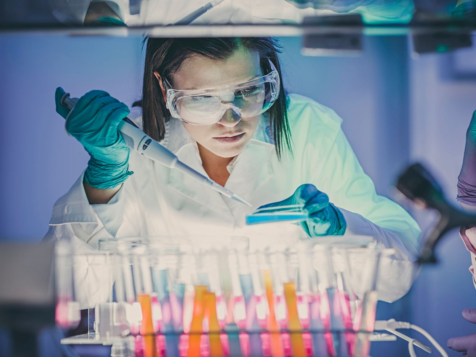 Shionogi Netherlands